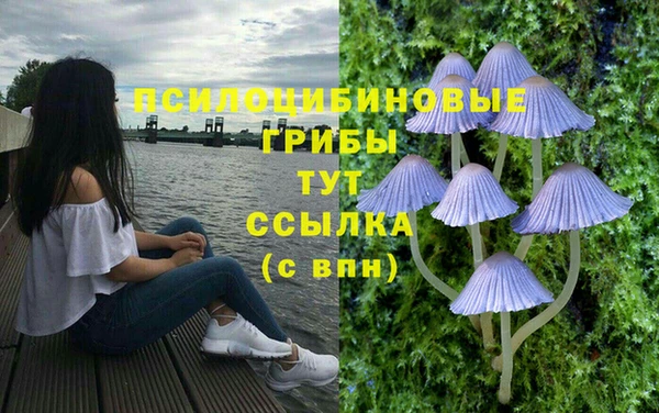 mdma Белокуриха