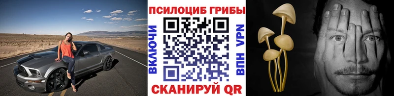 Галлюциногенные грибы Magic Shrooms Ахтырский