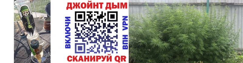 Конопля ГИДРОПОН  Ахтырский 
